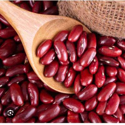 लाल राजमा 100g